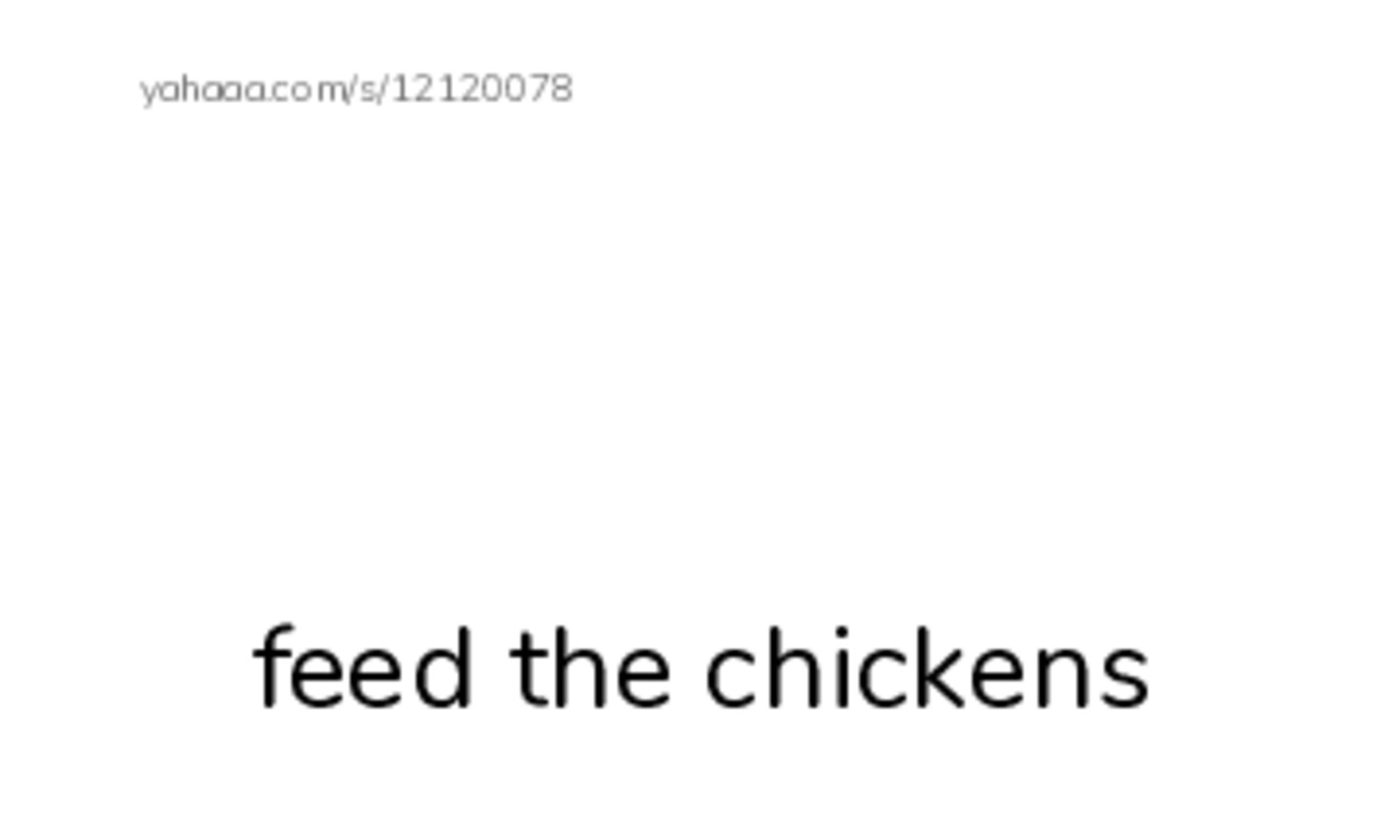 Index cards with pictures worksheet for feed the chickens, clean the barn, lives in the city and 6 more