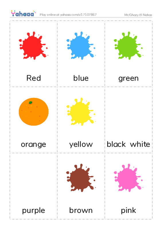 Picture flashcards worksheet for Mr/Ghazy El Nahas