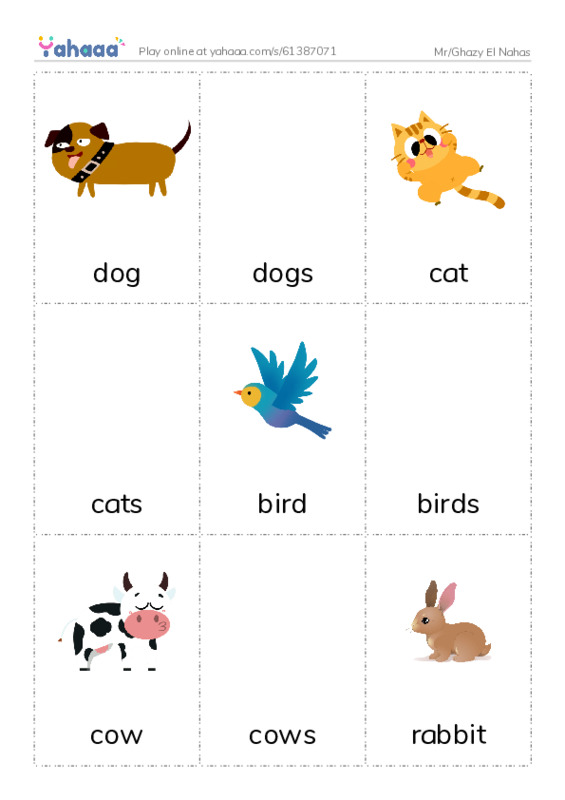 Picture flashcards worksheet for Mr/Ghazy El Nahas