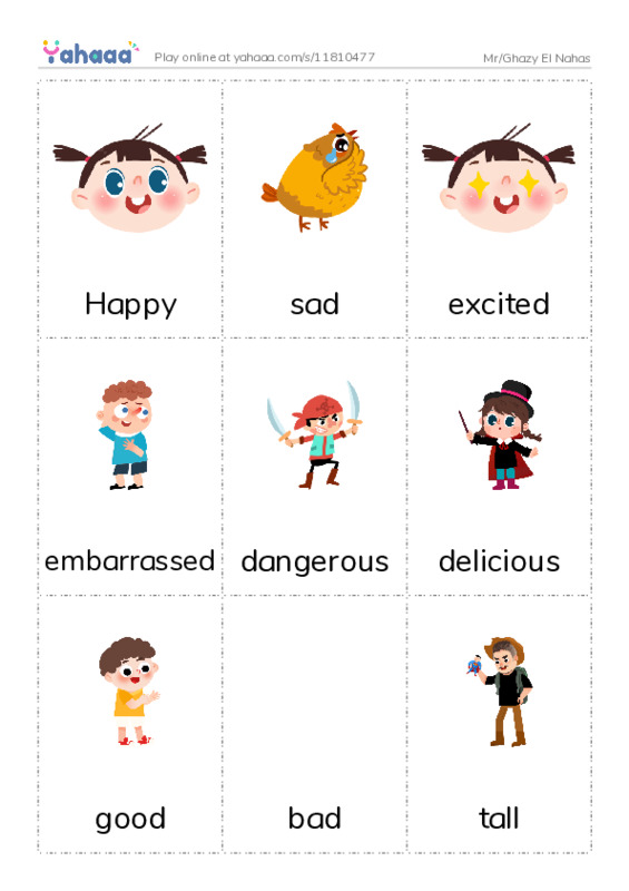 Picture flashcards worksheet for Mr/Ghazy El Nahas 