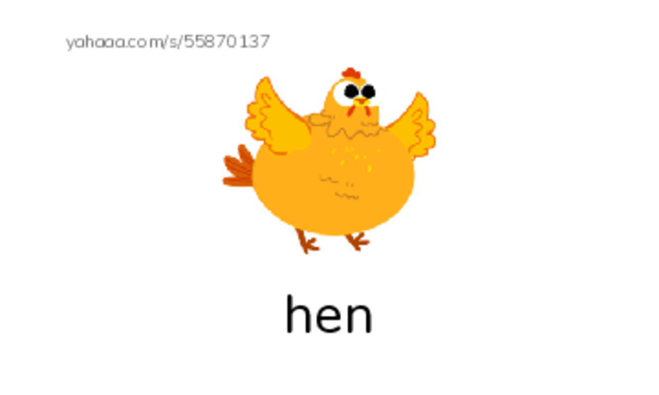Index cards with pictures worksheet for Farm animals