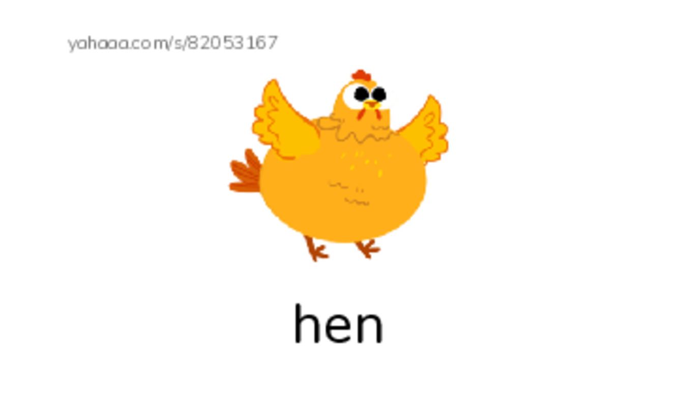 Index cards with pictures worksheet for Farm animals