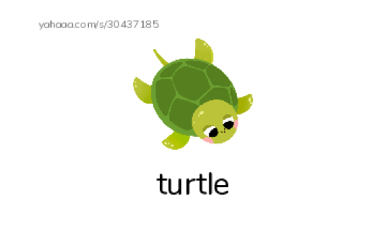 Index cards with pictures worksheet for letter t