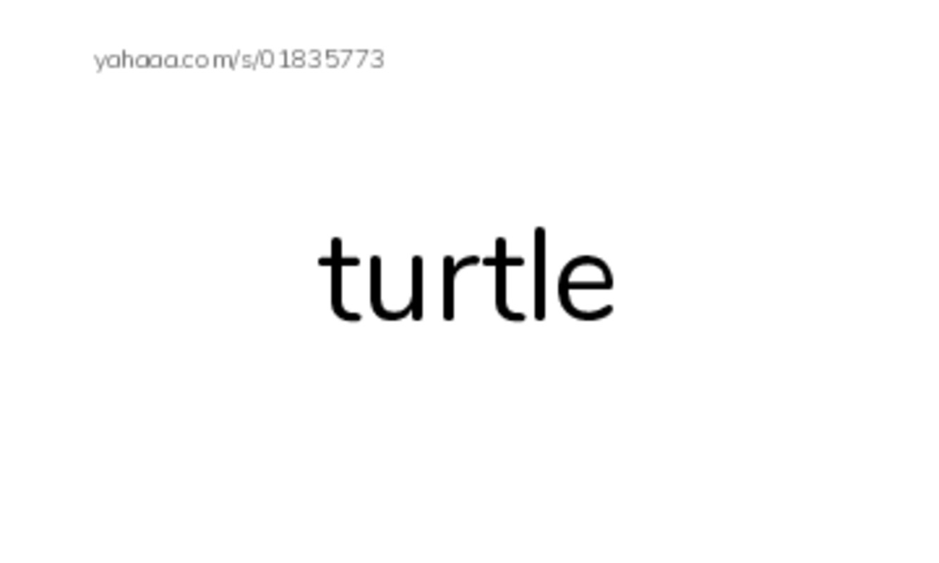 Index cards, words only worksheet for letter t