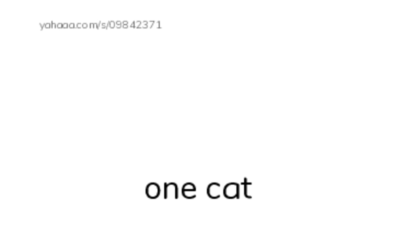 Index cards with pictures worksheet for one
