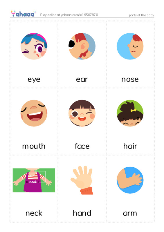 Picture flashcards worksheet for parts of the body
