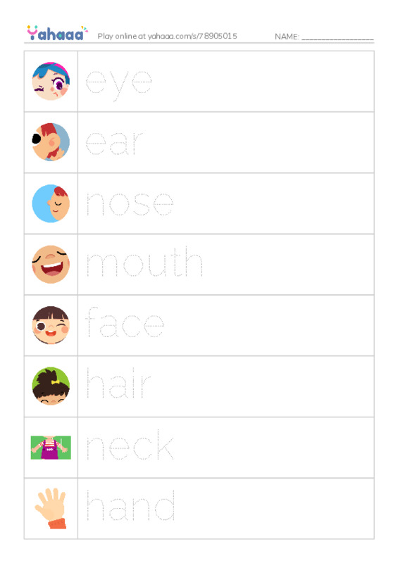 Picture and word rows worksheet for parts of the body