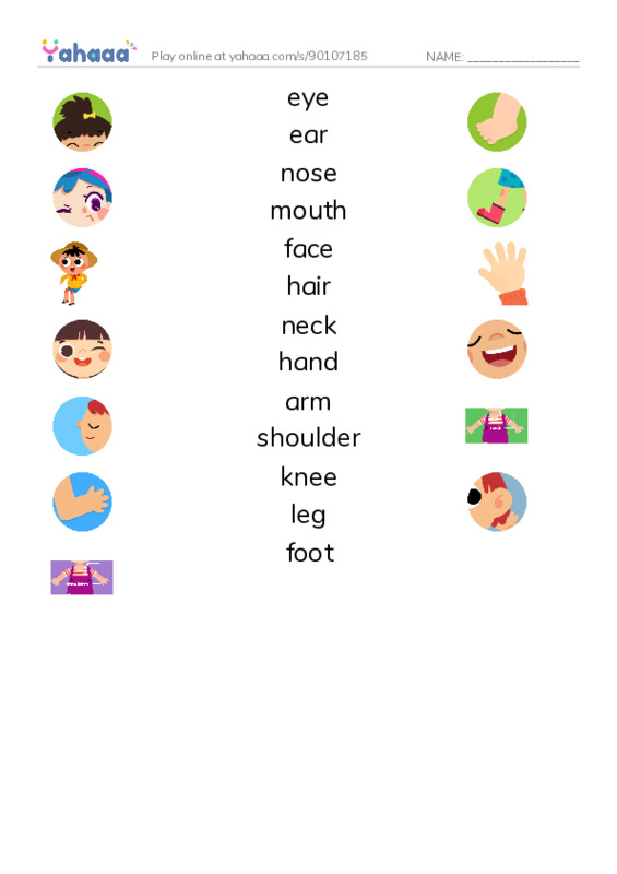 Match both sides worksheet for parts of the body