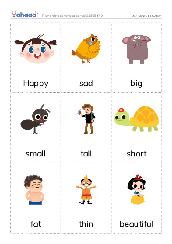 Picture flashcards worksheet for Mr/ Ghazy El Nahas