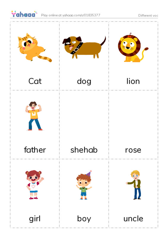 Picture flashcards worksheet for Different voc