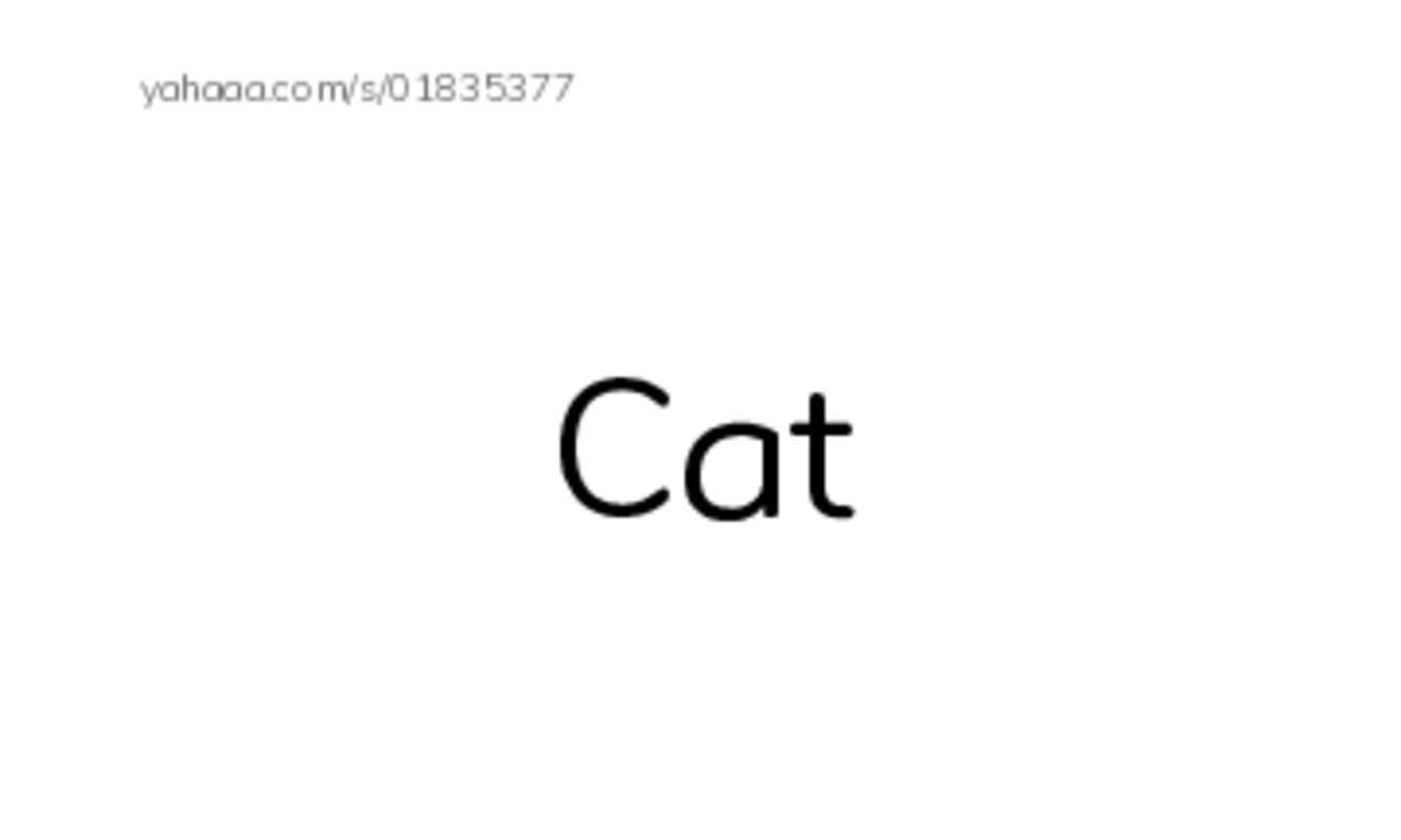 Index cards with pictures worksheet for Different voc