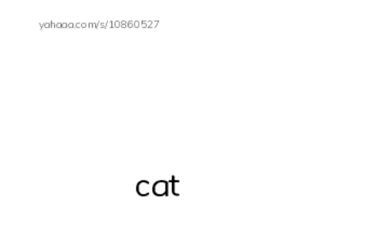 Index cards with pictures worksheet for Zoo animals