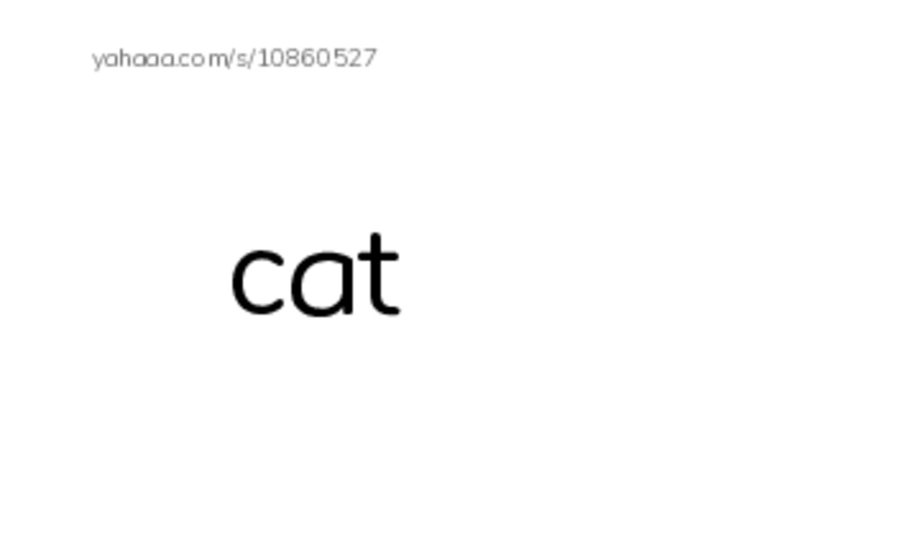 Index cards, words only worksheet for Zoo animals