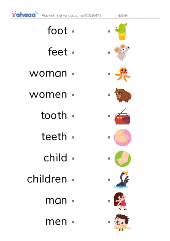 Draw a line to match worksheet for Irregular Plural Nouns