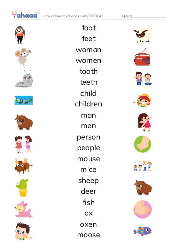 Match both sides worksheet for Irregular Plural Nouns