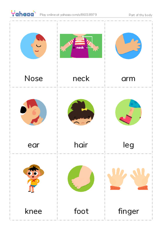 Picture flashcards worksheet for Part of thy body