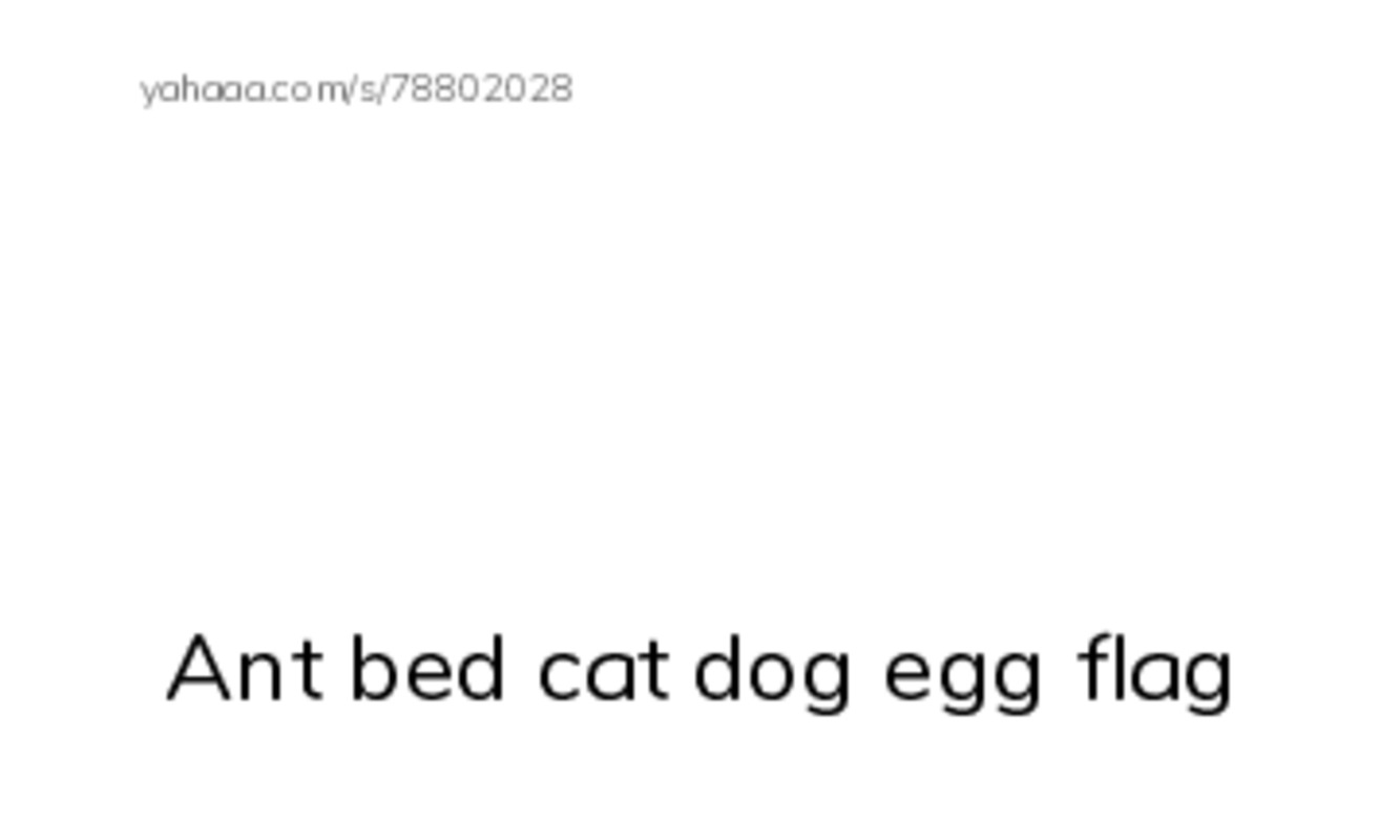 Spotlight  PDF index cards with images