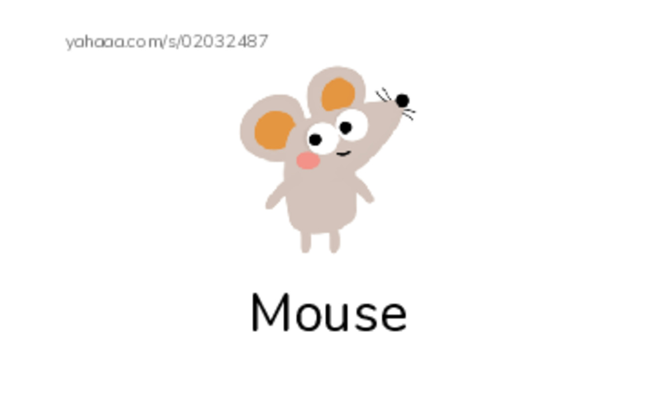 Index cards with pictures worksheet for Mm