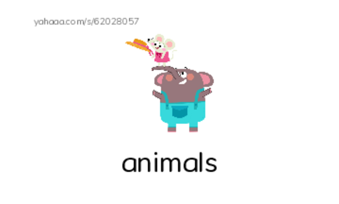 Index cards with pictures worksheet for Where Animals Live