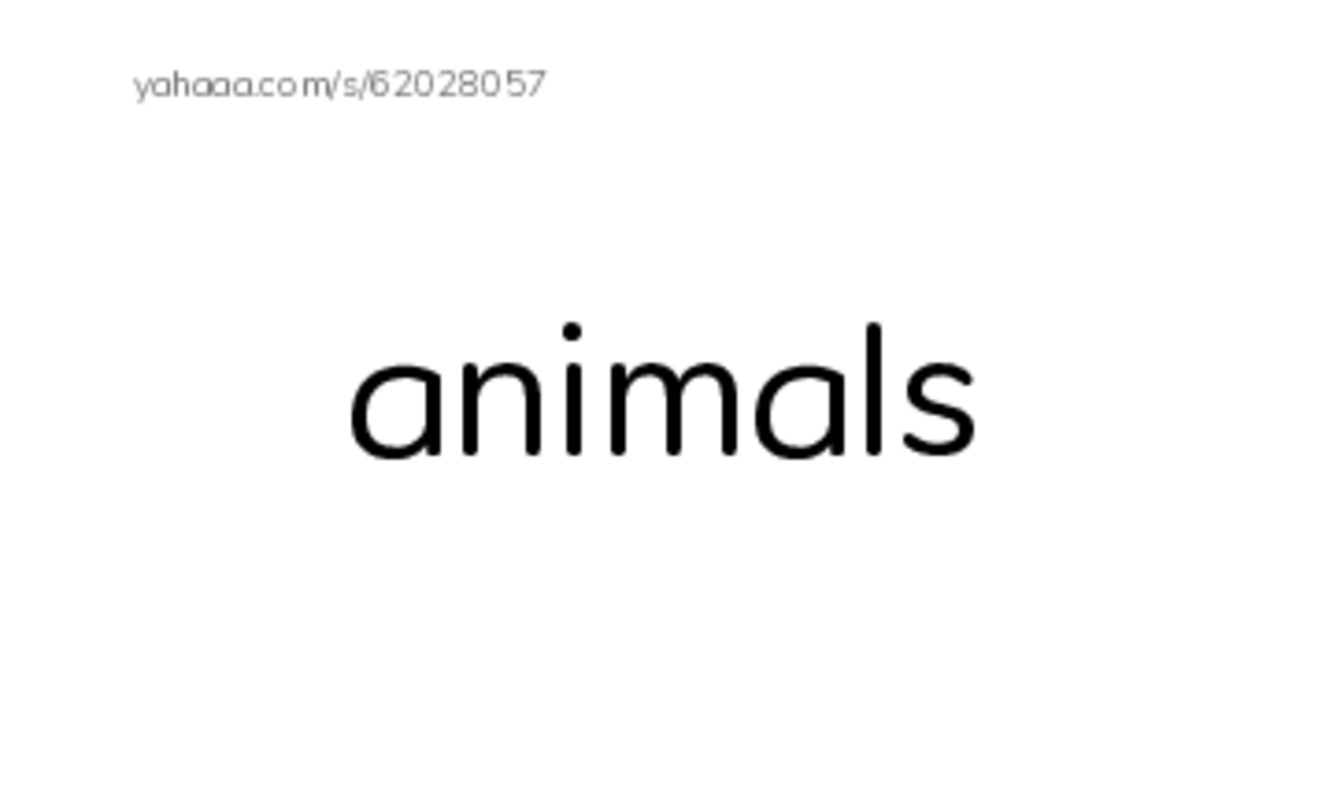 Index cards, words only worksheet for Where Animals Live