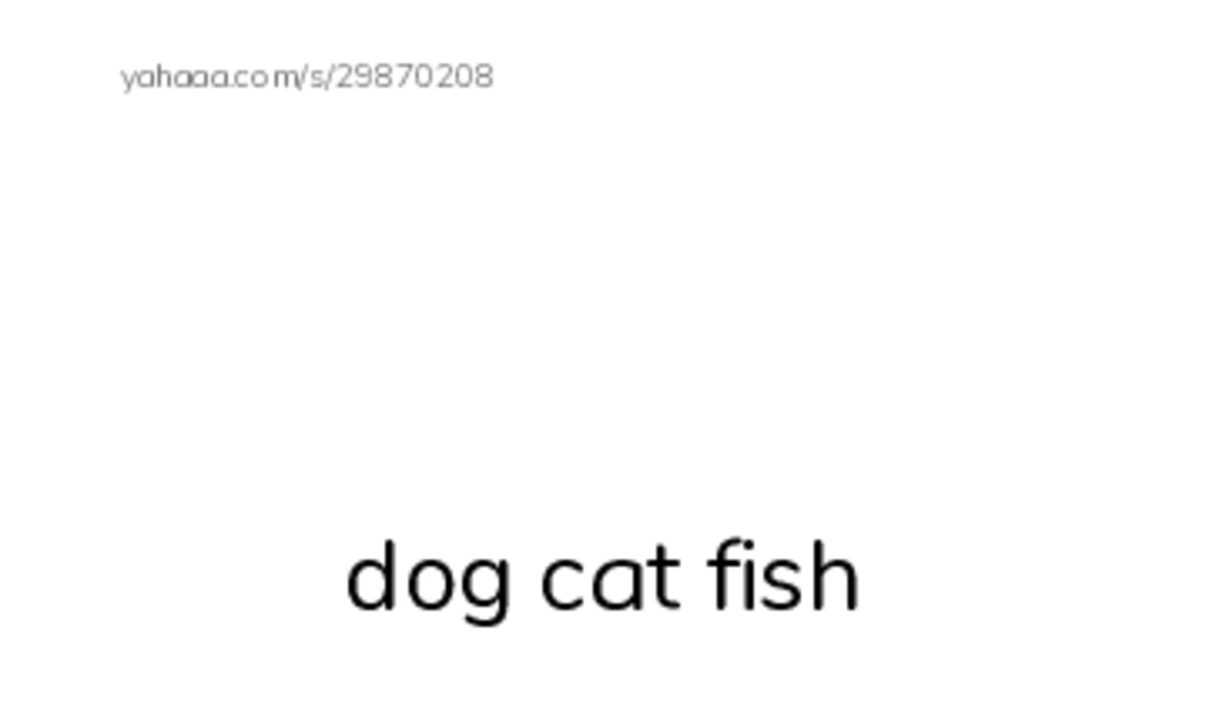 Index cards with pictures worksheet for dfasf