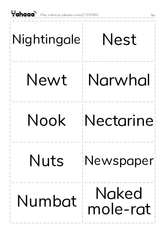 Word flashcards worksheet for Nn