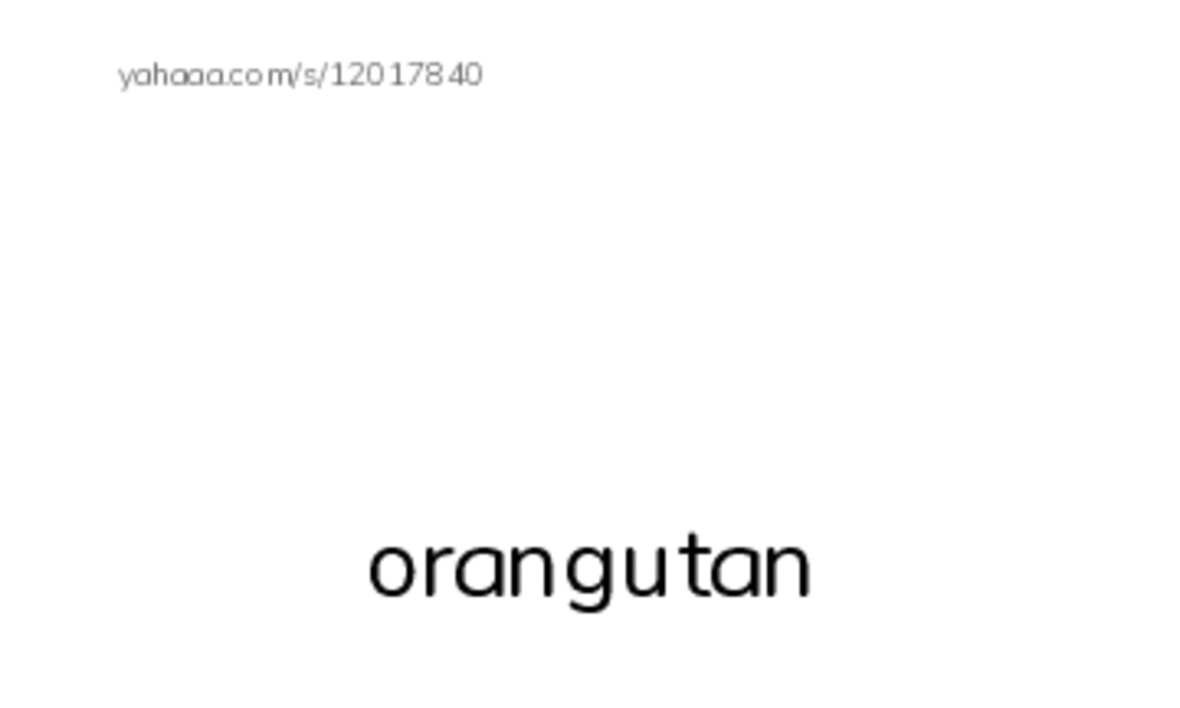 Index cards with pictures worksheet for Oo