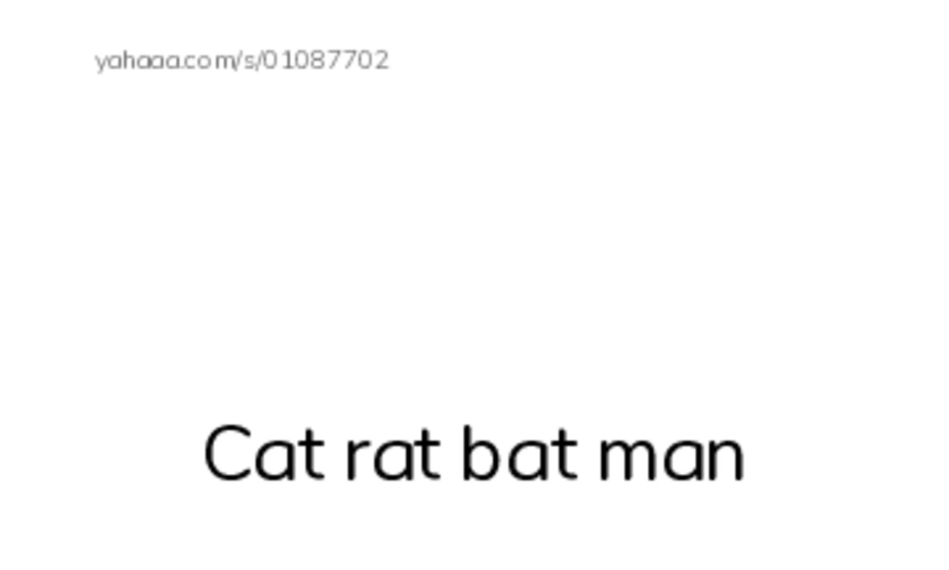 Index cards with pictures worksheet for Cat rat bat man