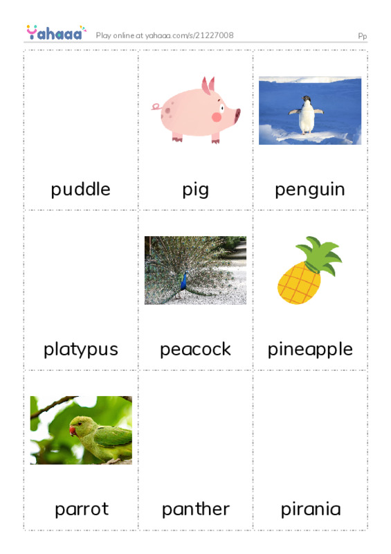 Picture flashcards worksheet for Pp