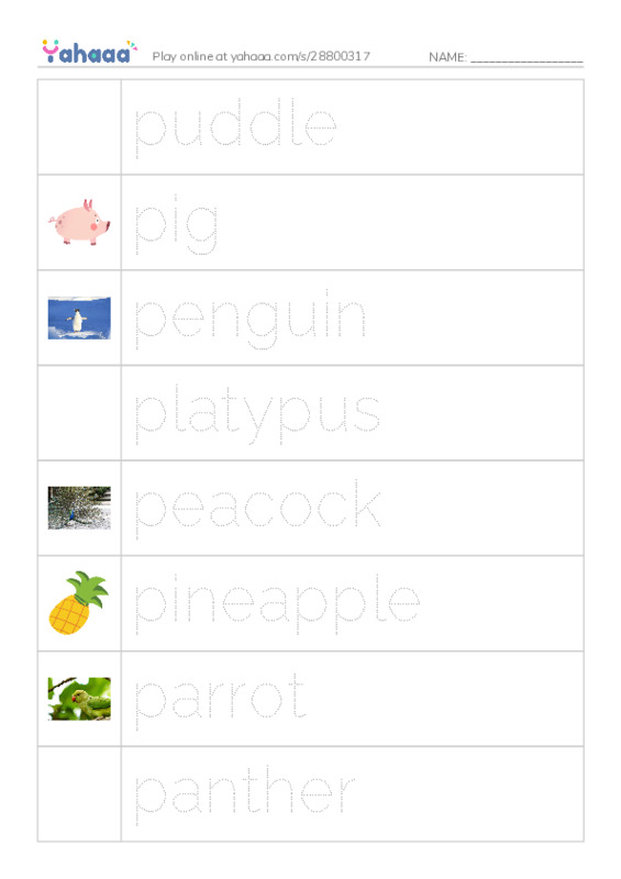 Picture and word rows worksheet for Pp