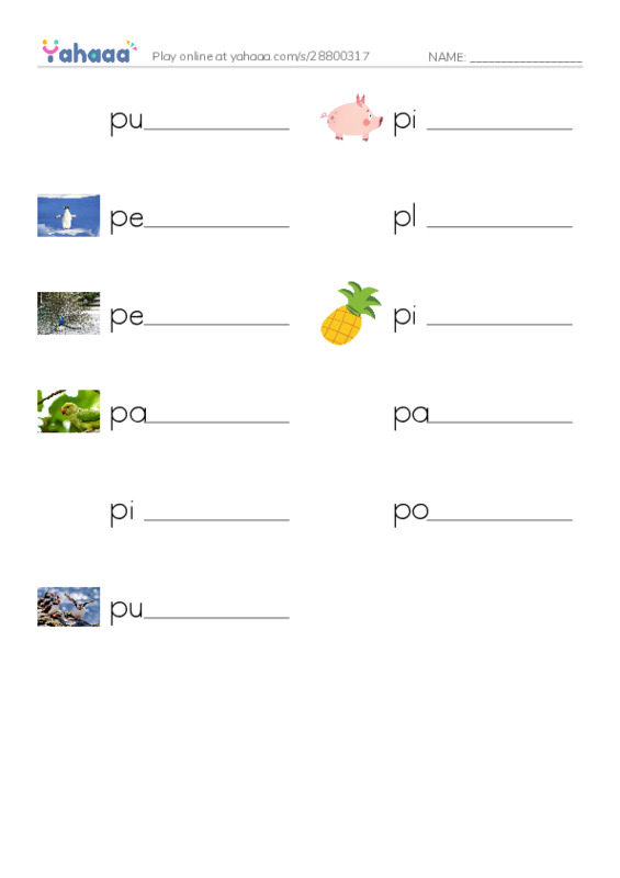 Write the word rows worksheet for Pp