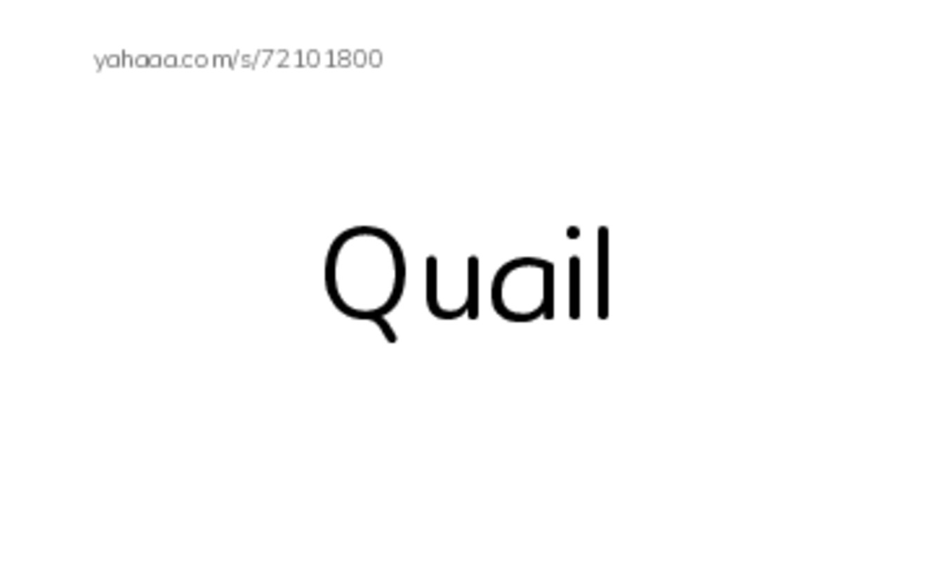 Index cards, words only worksheet for Qq
