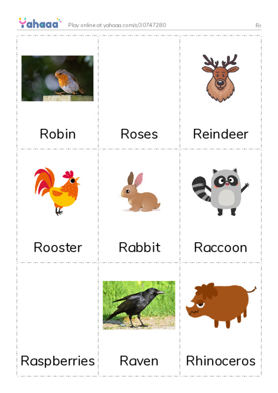 Picture flashcards worksheet for Rr