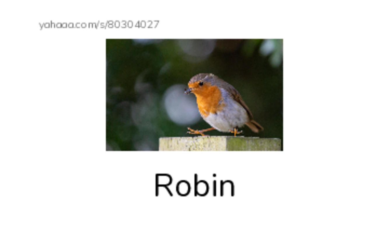 Index cards with pictures worksheet for Rr