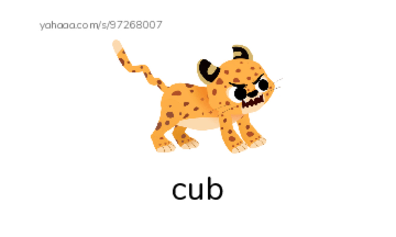 Index cards with pictures worksheet for Magic E