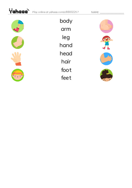 My Body and Face PDF three columns match words