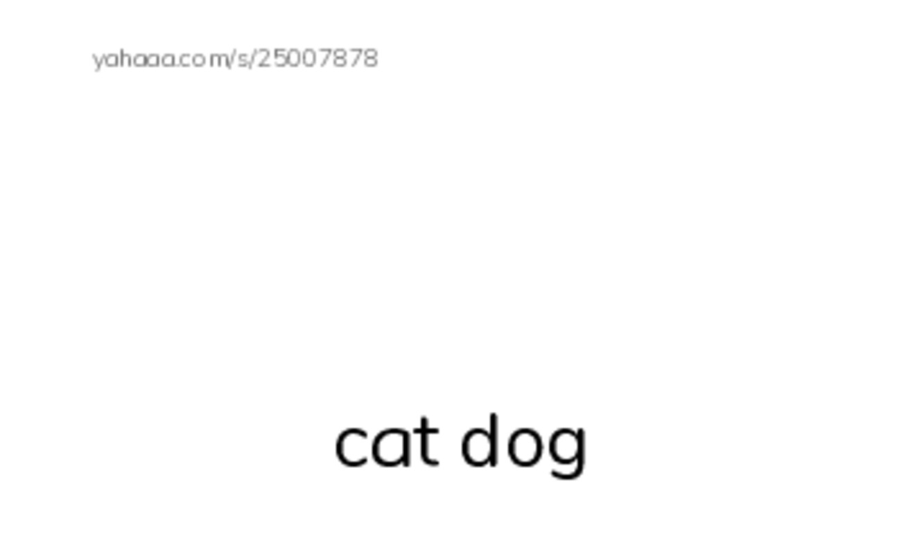 English Test PDF index cards with images