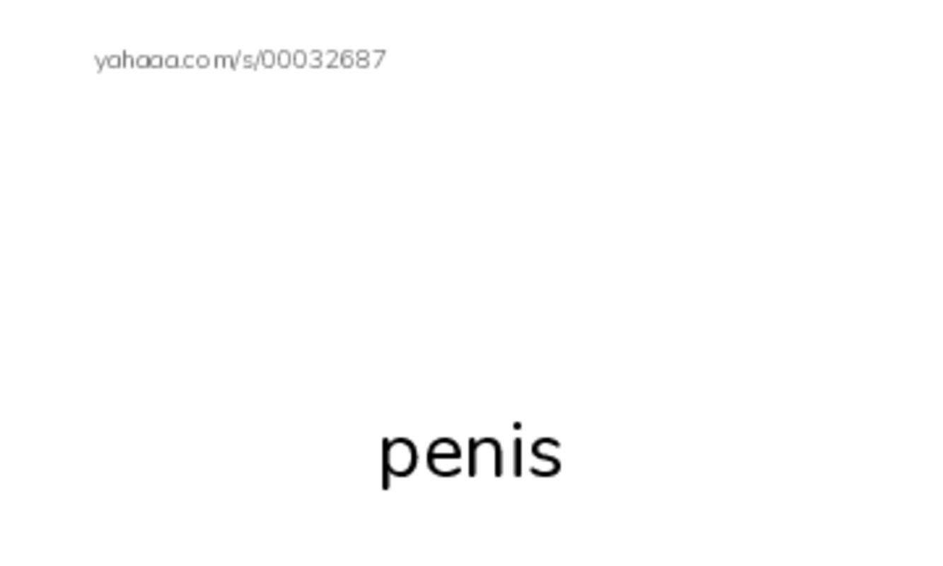 Index cards with pictures worksheet for body part