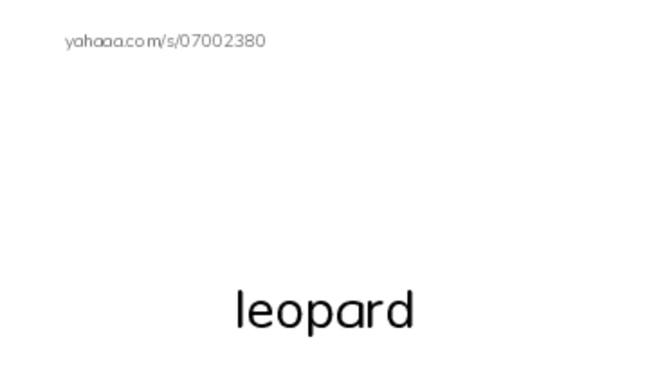 Index cards with pictures worksheet for animals