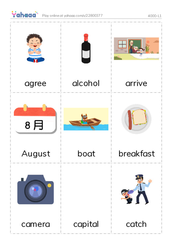 Picture flashcards worksheet for 4000-L1