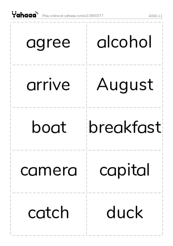 Word flashcards worksheet for 4000-L1