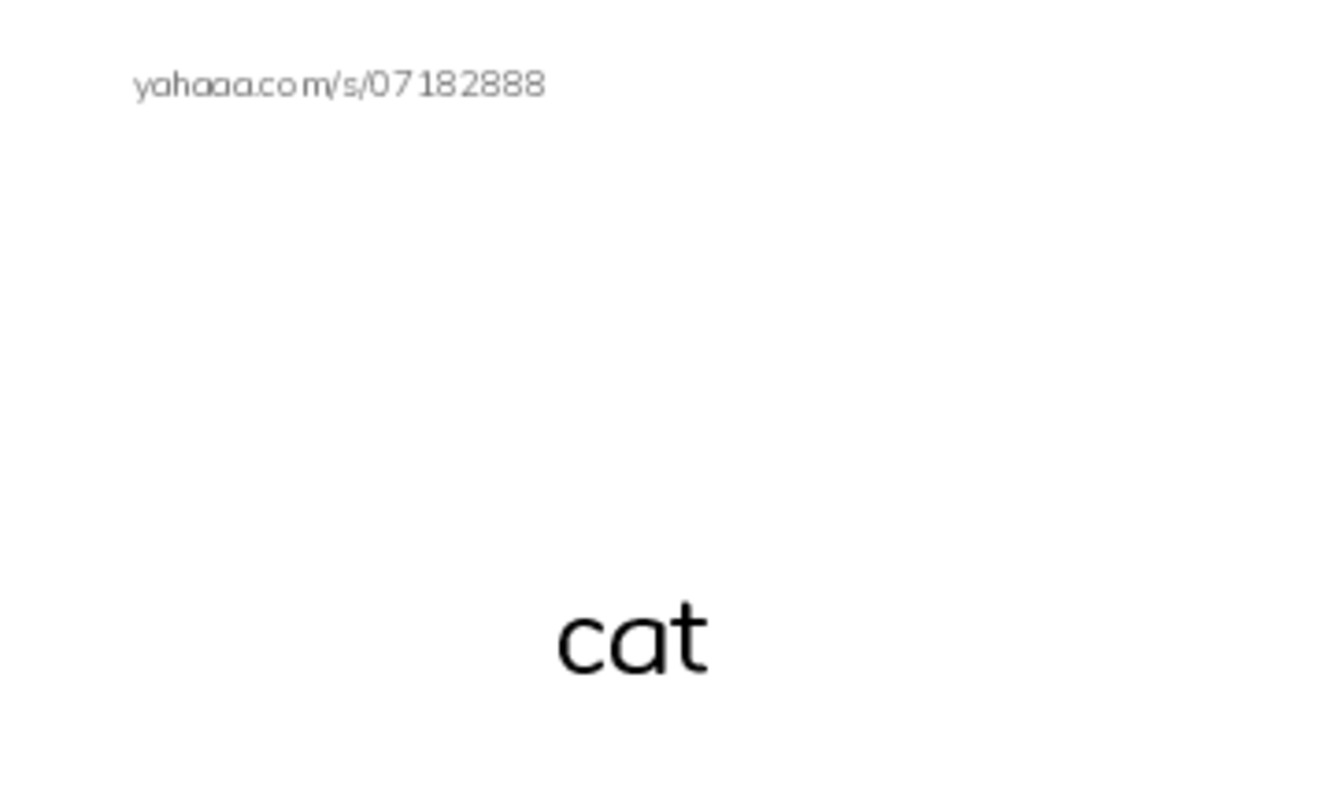 Index cards with pictures worksheet for cat
