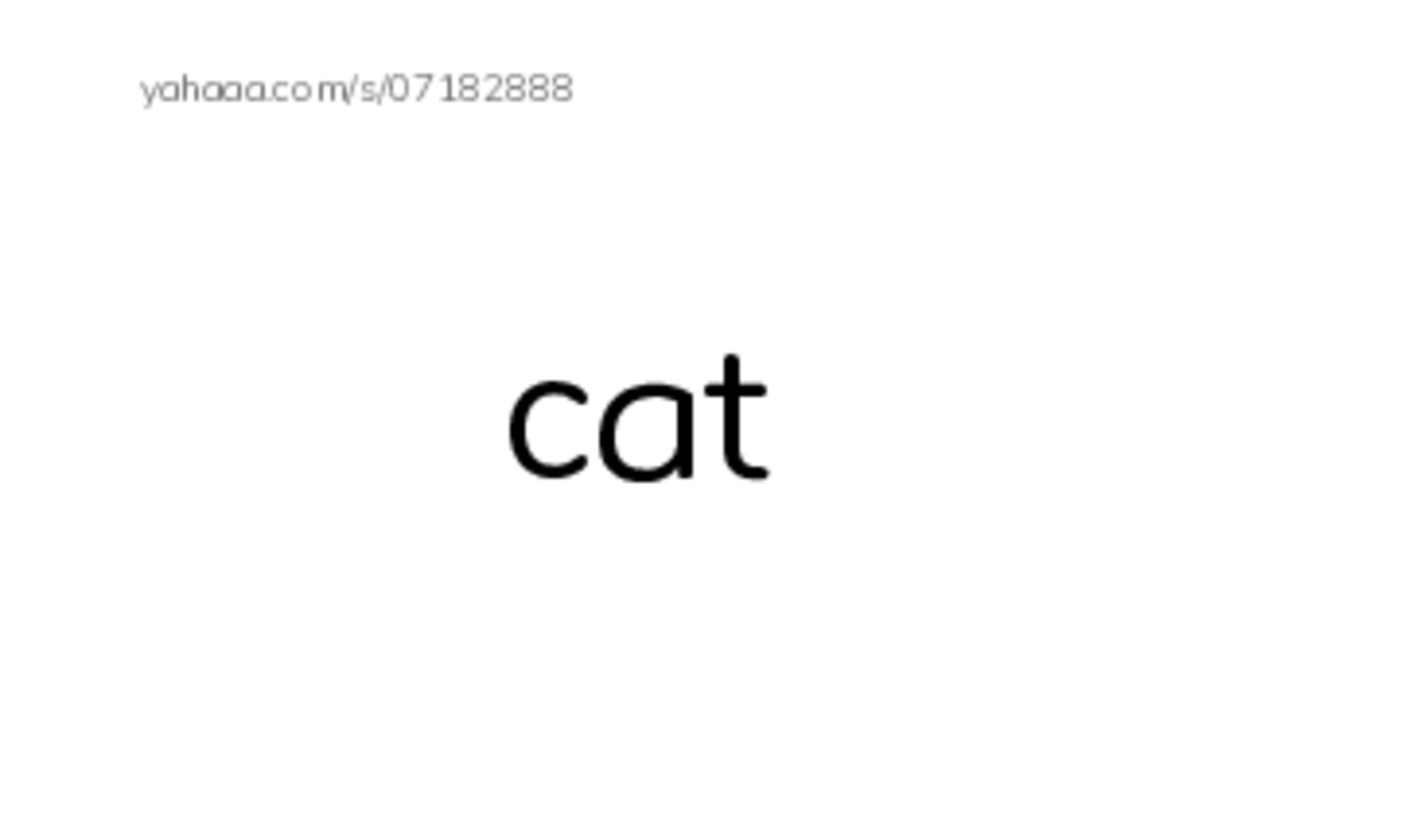 Index cards, words only worksheet for cat