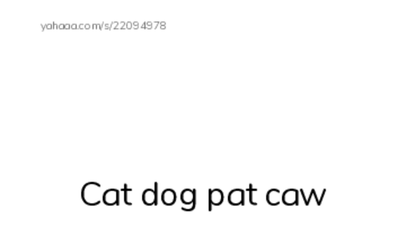 Index cards with pictures worksheet for Animals