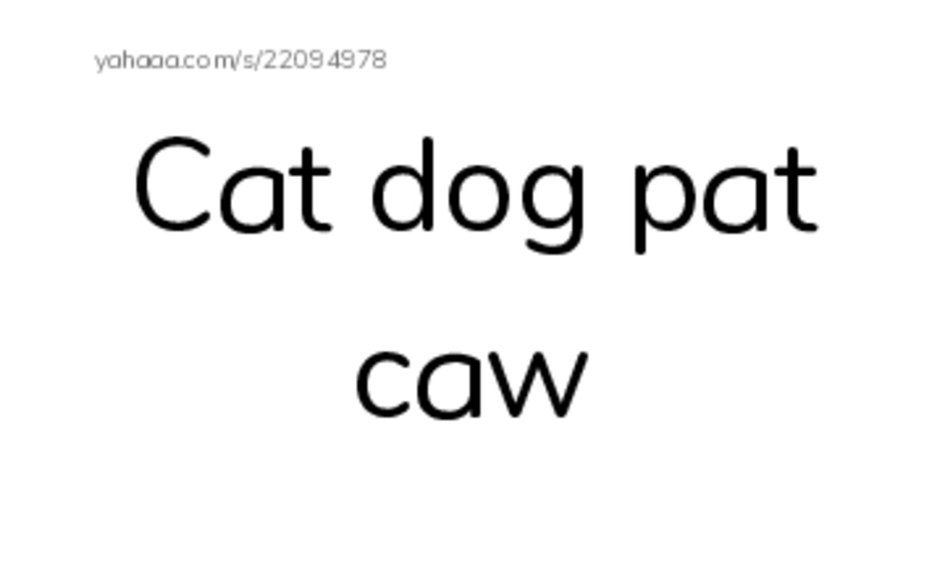 Index cards, words only worksheet for Animals