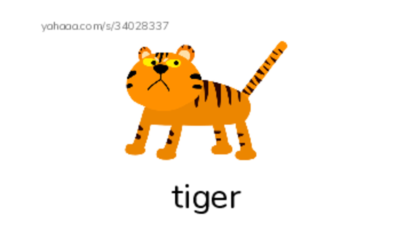 KB 1 Animals PDF index cards with images