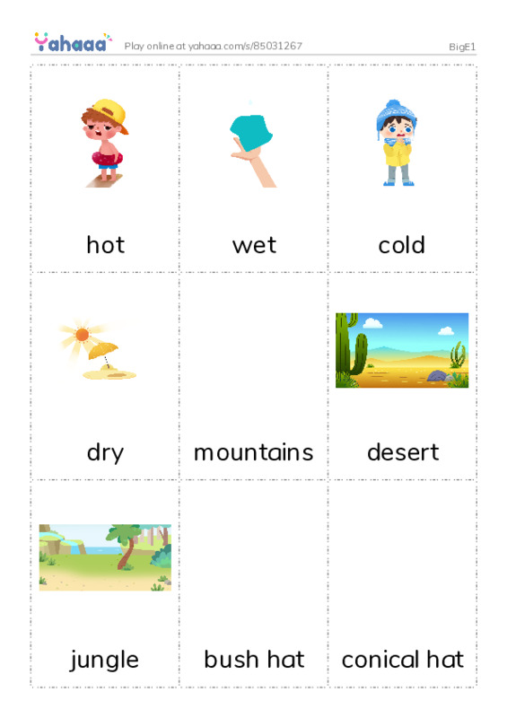 Picture flashcards worksheet for BigE1