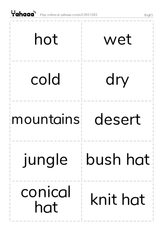 Word flashcards worksheet for BigE1