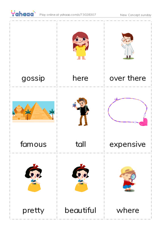 Picture flashcards worksheet for New Concept sunday