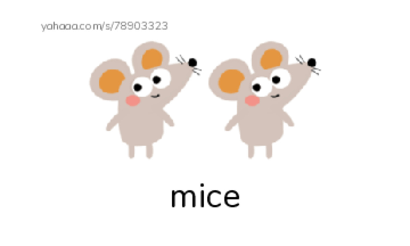 Index cards with pictures worksheet for RE U7 S1